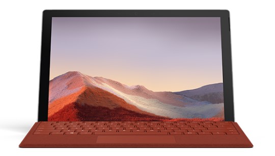 西夏清洁和维护 Surface
